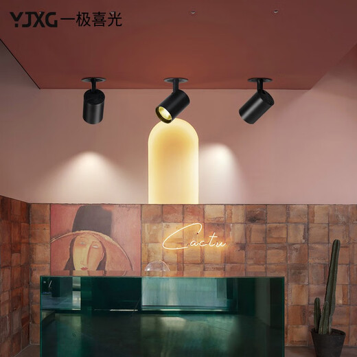 Yijixiguang LED embedded spotlights with adjustable angles, ceiling lights, commercial ceiling lights, store super bright cob spotlight downlights, home living room corridor dark light aisle lights, white light body - white light (6000k) 12w (opening 7-8cm)