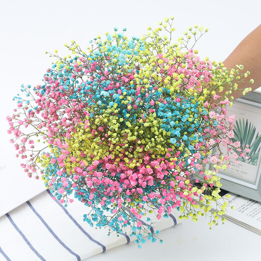 AIMAN Yunnan straight-haired dried flower bouquet real flower home furnishing decoration small fresh living room office decoration air-dried bouquet white + pink gypsophila without vase