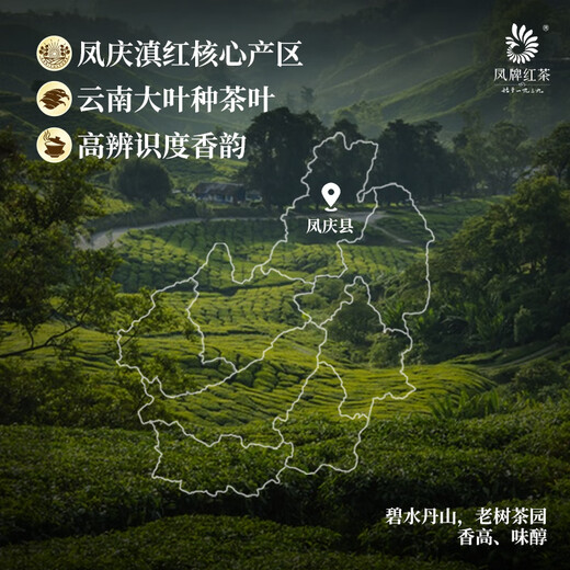 Feng Brand Black Tea Classic 58 Fengqing Dianhong Special Clase 250G Tea enlatado Marca de tiempo tradicional