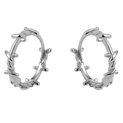 Qi Xiaomi thorn earrings men's handsome niche design boys' earrings temperament high-end cold style hip-hop men's earrings single