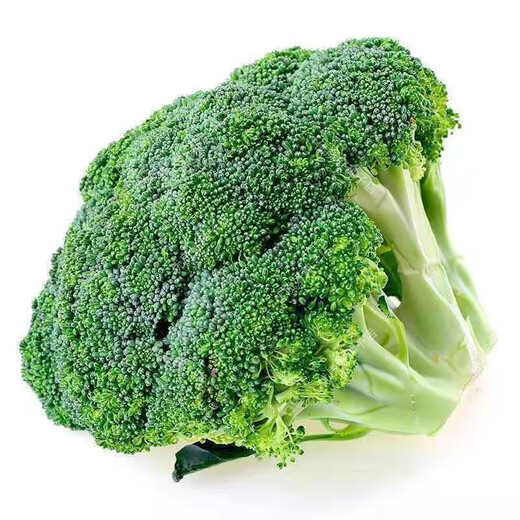 Broccoli seeds broccoli seeds loose cauliflower seeds cauliflower green cauliflower seeds four seasons vegetables original broccoli seeds 1 bag (about 300 pieces