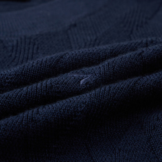 Qipai Men's Wool Sweater Spring and Summer Casual Versatile Round Neck Warm Sweater Pure Wool 1JY70070 Dark Blue S (160)
