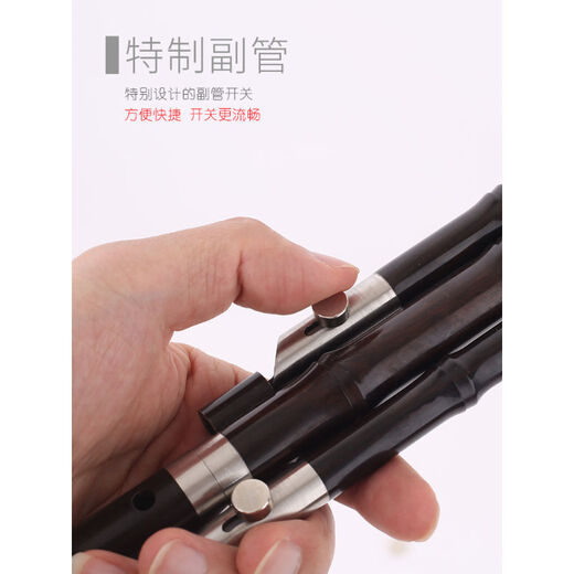 黑檀木管 葫芦丝 乐器 专业演奏型 F调 G调 降B调 C调 筚郎 C调(带书)