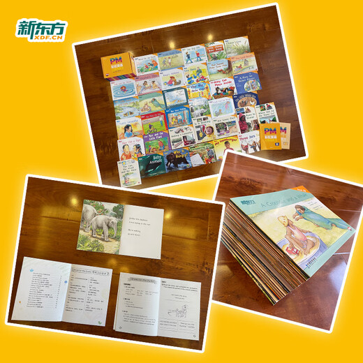 新东方官方旗舰店 PM彩虹英语分级阅读儿童英语绘本1-9级全套 单本可选 美国圣智原版童书3-12岁少儿启蒙英语绘本一体化英语阅读解决方案 科学分级 点读版 PM彩虹英语5级（2年级适用）