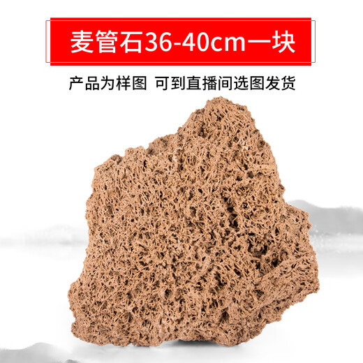 The best gold straw stone raw stone, natural water-absorbing stone, rockery bonsai ornaments, green plants, straw stone 36-40cm piece