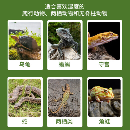 Shangyang sphagnum moss about 12L (level 2) turtle hibernating climbing pet Clivia orchid moss potted fluffy moisturizing nutritious soil