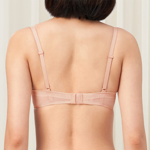 黛安芬 TRIUMPH【新品】风格魅力内衣女小胸聚拢薄款蕾丝舒适文胸双十二618 黑加仑紫-FH 75B