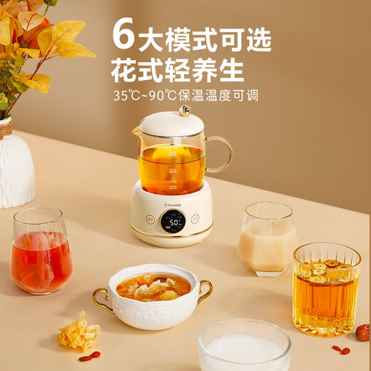 Feisenke mini health pot, one person health kettle, 0.6 liter teapot, all-glass small thermostatic kettle, office health cup, flower teapot, recommended gifts for Teacher's Day, hot-selling milk white model, exquisite life for 1-2 people, 0.6L