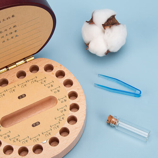 Lebende kleine Zähne Aufbewahrungsbox Zähne Kollektion Memorial Box Zähnekasten Laubzähte Sammlung Kinder Antioxidation Kinder Sammlung Box Laubzähte Gedenkbox Nanyu Zwei-Farben [Girl's Style]