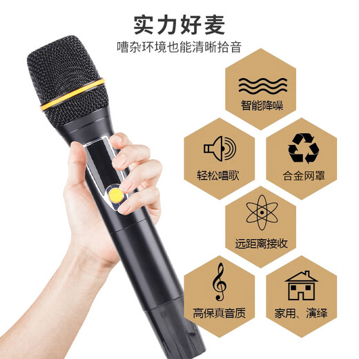 先科（SAST）AV-312V定阻蓝牙功放机大功率发烧级hifi功率放大器 家用KTV卡拉OK家庭影院功放带话筒麦克风 300W