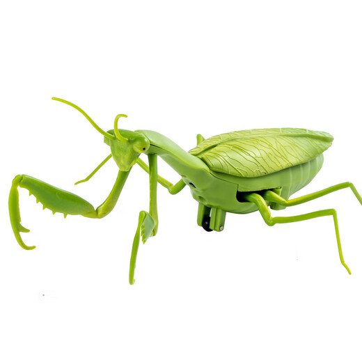 Fernbedienung Mantis Elektrische Simulation Kinderspielzeug Streich kreativer Kakerlake 3 Jungen können kriechende kleine Tiere Fernbedienung Ladybug rot 9922+ Schrauben Standard Match