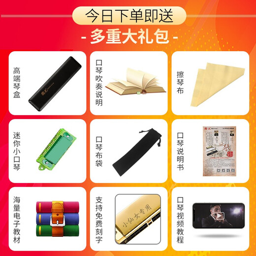 国光上海国光口琴28孔重音高级成人专业演奏级复音C调初学者入门乐器 28孔 C调 宽音域银色重音+学习资料