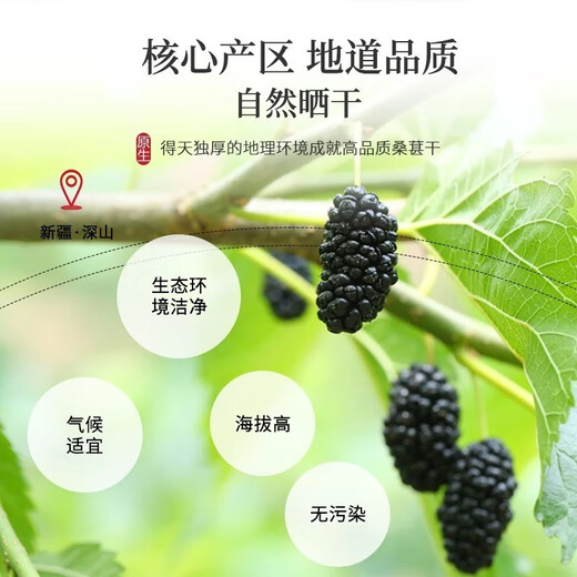 Chen Yifan dried mulberries, selected Xinjiang origin super large fruit no-wash ready-to-eat black mulberries, paired with wolfberry health tea 180g