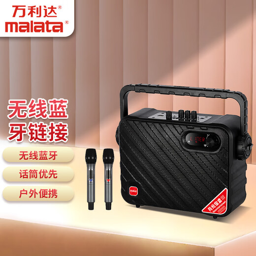 Malata Portable Square Dance Home Outdoor Performance Wireless Bluetooth Electric Acoustic Guitar Bass Folk Singing Instrument Speaker Subwoofer Conference Room