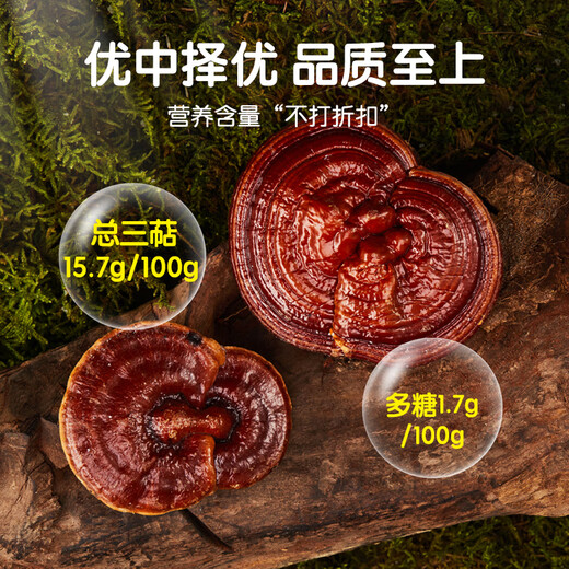 
ISDG Broken Wall Ganoderma lucidum Spore Powder 90 capsules Enhanced immunity Gifts to parents and elders Nutritional health care expires in July 25 [Enhanced immunity] 90 capsules * 1 box