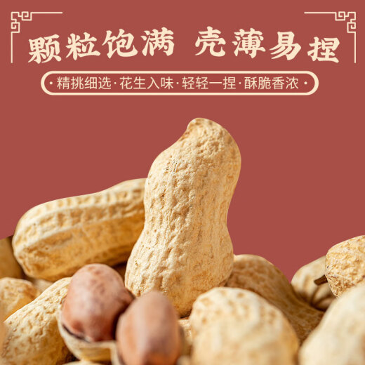 Chen He Li Xin Hui Tangerine Peel Peanut Boiled Salted Dried Jiangmen Specialty Roasted Seeds Snacks 168g