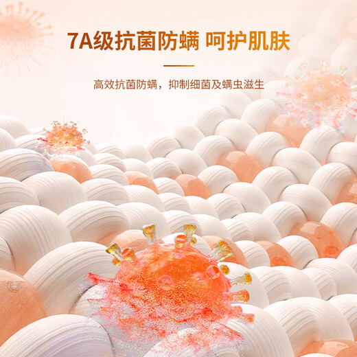 Langsha Red Underwear Women's High Waist Antibacterial 4 Pairs Zodiac Year Horse Year Qiji Red Festive Wedding Red Women's Lucky Briefs