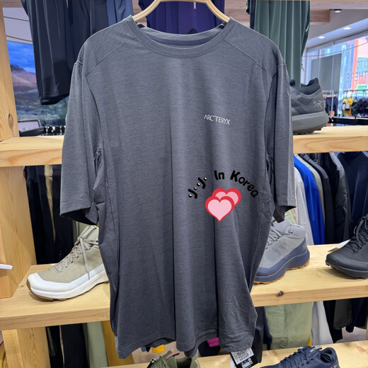
Archaeoptera Bird (ARC'TERYX)ARC/aposTERYXCORMAC Arc/aposBird LOGO SS round neck short-sleeved T-shirt men's FHI / Misty gray green 7994/9721 M