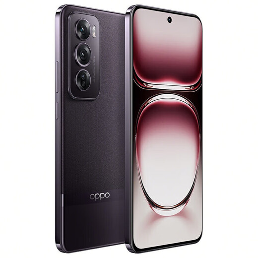 OPPOReno12 手机 超美小直屏 Reno12 Pro  安卓Live图 全网通5G双卡 Reno12 Pro 乌木黑 16GB+512GB 简配+店保一年+版本咨询客服