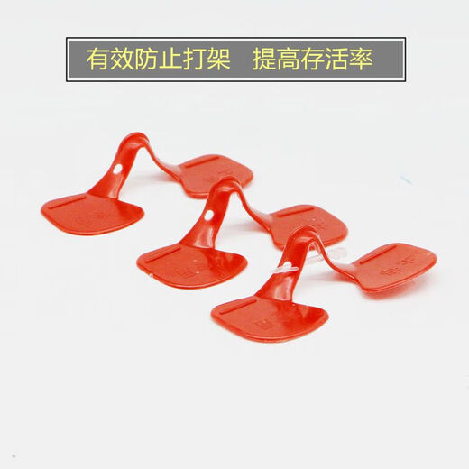 Vulgare rooster glasses, native chicken anti-pecking eye mask, chicken glasses, large, medium and small size with holes for chickens, chicken raising equipment and supplies, medium size with holes (0.6-4.5 Jin Jin is equal to 0.5 kg for chickens) 10 pcs