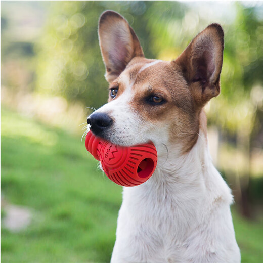 GiGwi dog toy food leakage ball dog toy for small and medium-sized dogs, bite-resistant, molar puzzle, boredom relief, food leakage pet toy