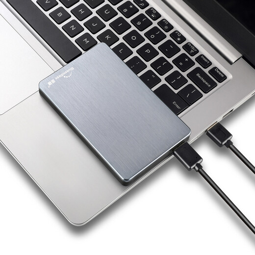 BLUEENDLESS USB3.0 mobile Festplatte 2,5-Zoll-Android-Telefon Typ-C-TV tragbare Speicherfestplatte grau 500 GB