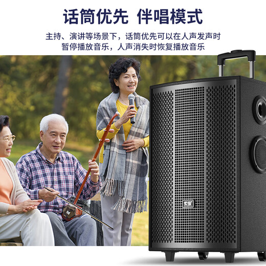 Sony Ericsson (soaiy) 8-inch square dance audio wooden high-power portable outdoor heavy bass Bluetooth karaoke special high-volume 9-speaker mobile trolley speaker performance dual microphone SA-F85