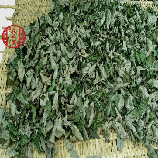 江西修水野外种植生长青钱柳茶高山原汁原味深山自采古树叶子养生茶 青钱柳原叶子500g