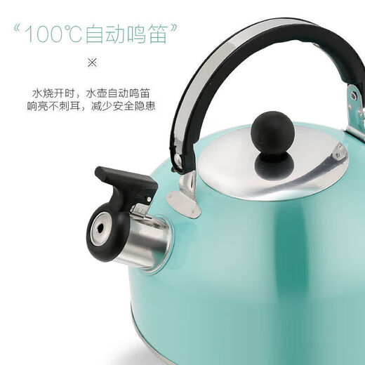 Manyuangong household induction cooker kettle stainless steel whistle kettle large capacity kettle high appearance kettle 3L Nordic blue