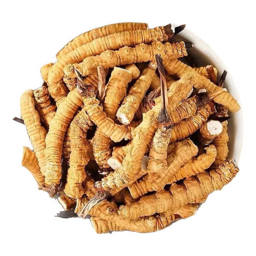 Cordyceps sinensis Broken Grass Pure Meat Festival Tibetan Snowy Big Cordyceps dry goods 100g bulk Cordyceps gift box Tibet Big Cordyceps 10g [Introduction]
