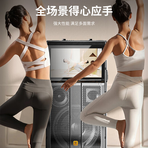 贝德音响视唱BD-H1501新款户外广场舞音响带显示屏卡ok一体机室内家用视频机K歌大屏触摸屏幕点歌机 BD-H1503/10吋低音/美声话筒