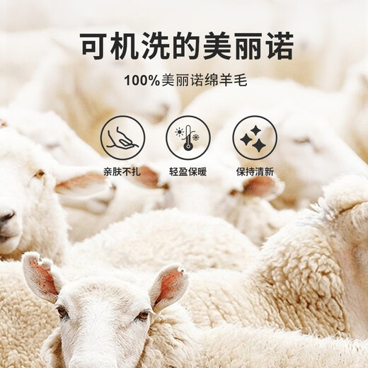 Navigare意大利小帆船羊毛衫男士秋冬款抗菌套头毛衣内搭通勤打底衫 暗夜黑 L /50