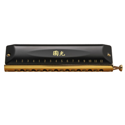 Guoguang Chromotic Harmonic 12-hole 48-tone C-tune 16-hole Advanced Professional Performance Beginners Adult Children Primary School Students 12-hole C-tune Guoguang Silver (Square-mouth Standard)