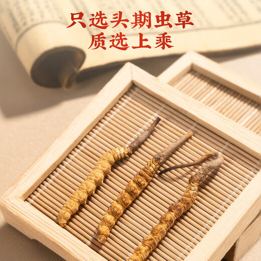 雷允上 西藏冬虫夏草A50-4g 20根虫草礼盒装 药典标准中药饮片级 补肾益肺止血化痰送礼送长辈礼物