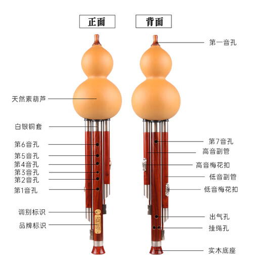 百诺原生态天然葫芦丝乐器成人降b调专业演奏小学生c调初学者入门乐器 硬嘴红木管降b调【全套礼品】