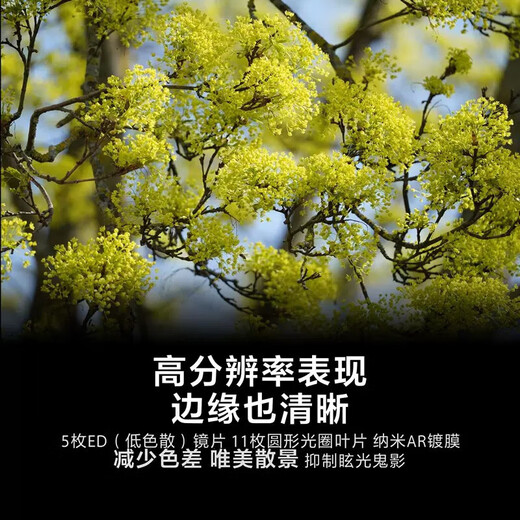 Sony (SONY) full-frame telephoto telephoto landscape/bird hunting super telephoto lens FE200-600mmF5.6-6.3G OSS official standard configuration