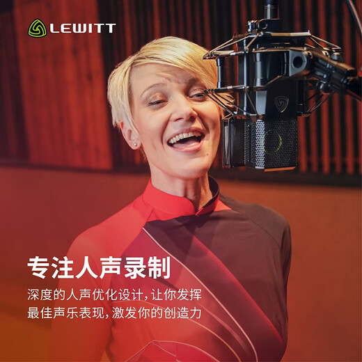 LEWITT PURE TUBE tube condenser microphone microphone sound card set mobile computer live broadcast LEWITT PURE TUBE tube microphone single product audio equipment