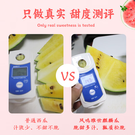 Fengming Yashi gift small watermelon seeds early maturing greenhouse four-season seeds thin-skinned yellow-flesh ice unicorn watermelon seeds 50 capsules