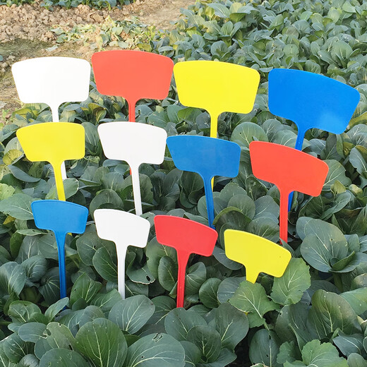 Shipton fan letrero de tierra jardinería flor letrero ampliado letrero de plástico se puede escribir letrero etiqueta de planta amarillo altura 27 cm 10 piezas