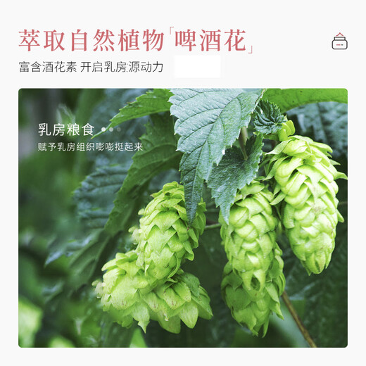 Pink Princess Feng Yun Cream Breast Beauty Product Official Quick Natural Massage Cream Essential Oil Stick Beauty Cream Breast Care Six Bottles Two Cycles Consolidation Pack Selected Premium Products