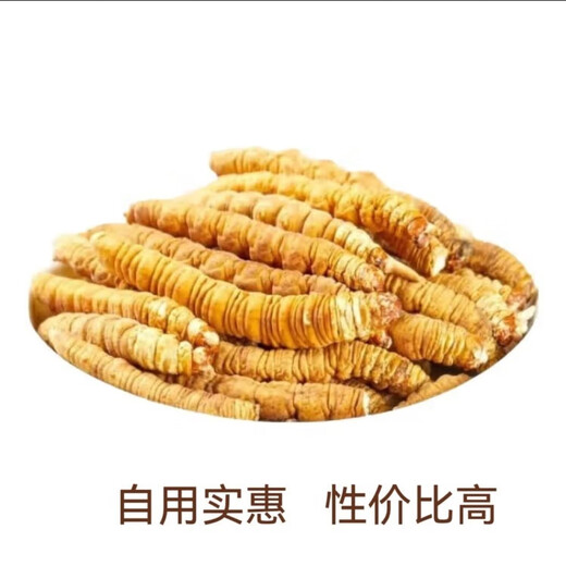 Cordyceps sinensis (unterstützt Qualitätsinspektion) schneebedeckte Cordyceps sinensis gebrochenes Gras Vollfleisch reines Fleisch Festival Cordycep