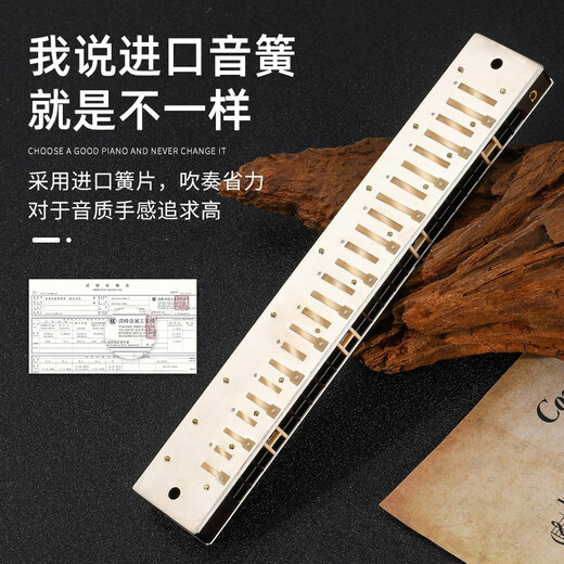 国光上海国光口琴28孔重音高级成人专业演奏级复音C调初学者入门乐器 28孔 C调 国之梦黑色重音+自学礼包