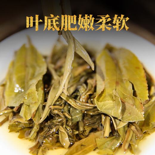 下关沱茶 茶叶 普洱茶 普洱生茶 易武茶区 2023年 兰花香御贡青饼 357g/饼