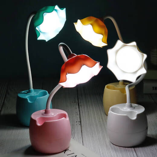 湖绵台灯学习少女心学生宿舍可充电插电可爱笔 可爱笔筒 粉色花朵