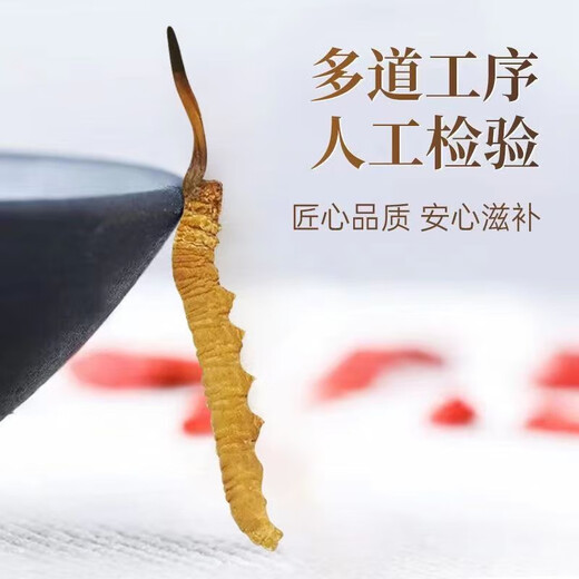 Auténtico cordyceps Cordyceps Cordyceps Cordyceps Caja de regalo Goods Dry Goods para novelas y productos secos para la salud para Nagqu, Tíbet 30 cajas de regalo (dos piezas por gramo)