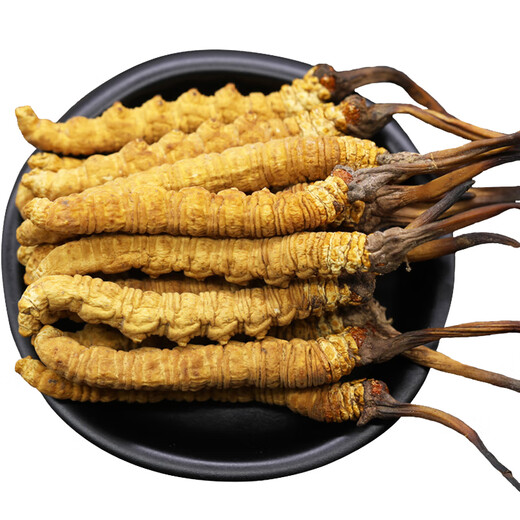 Baiwanji authentic Cordyceps sinensis 3-4 roots/g Cordyceps sinensis Cordyceps gift box price 1 root