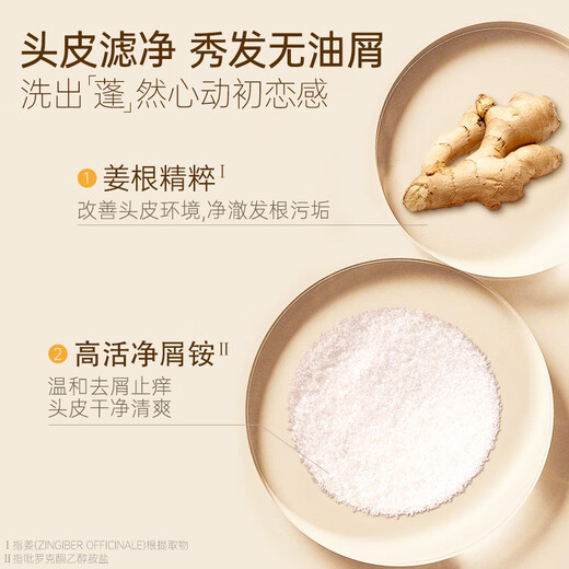 拉芳（lovefun）生姜精粹洗护套装 去屑控油洗发水500ml 深层奢护精华素500ml