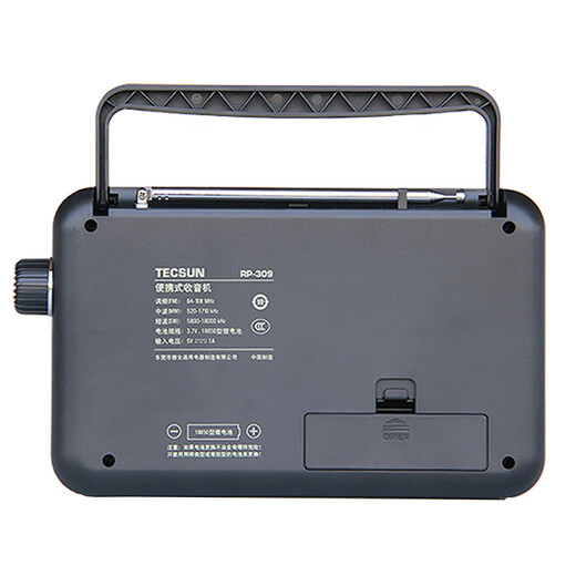 Tecsun RP-309 Portable DSP Digital Demodulation Radio Bluetooth TF Card U Disk Playback Desktop Elderly Rechargeable Standard + Charger