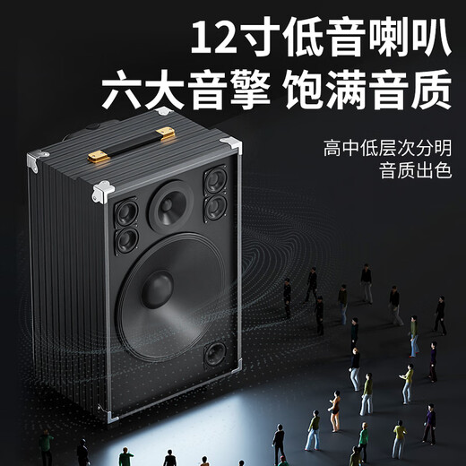 Newman N519 12-inch high-power subwoofer square dance audio mobile home outdoor karaoke Bluetooth trolley portable speaker amplifier dual microphone with adapter