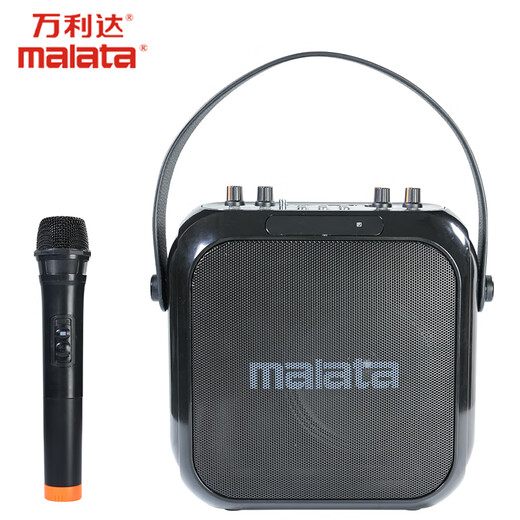 Malida audio outdoor street Bluetooth audio home electric acoustic guitar bass folk singing instrument speaker microphone square dance speaker M+9403